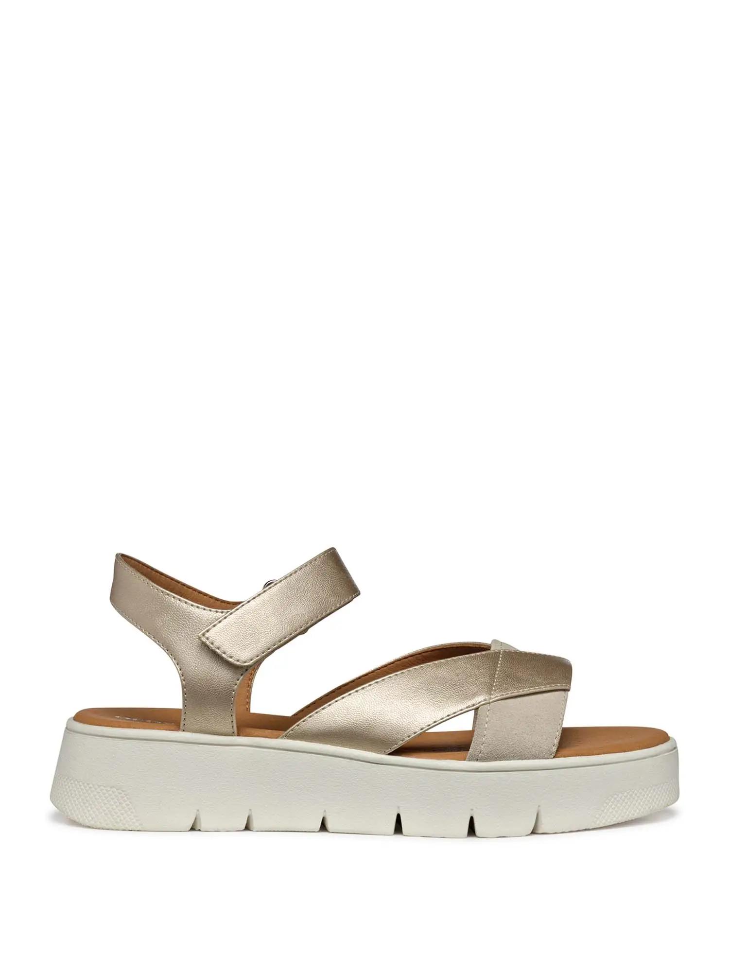 ORO/TAUPE