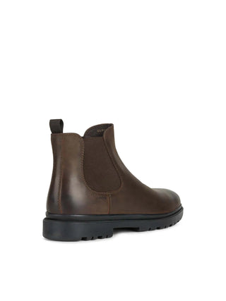 BEATLES UOMO - GEOX CAFFE - U16DDA 00045 4