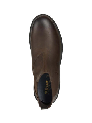 BEATLES UOMO - GEOX CAFFE - U16DDA 00045 5