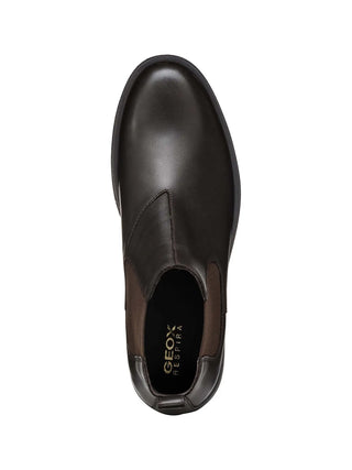 BEATLES UOMO - GEOX CAFFE - U2658A 00043 5