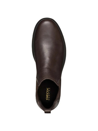 BEATLES UOMO - GEOX CAFFE - U36D1C 00046 5