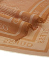 FOULARD DONNA - GUESS COGNAC - AW5525 POL03 3