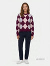 MAGLIA DONNA - GUESS APPAREL BORDEAUX - W6BR48 Z1447 3