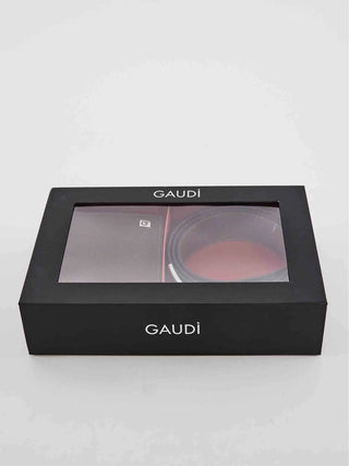 SET REGALO UOMO - GAUDI MARRONE - V6AI-13214 3